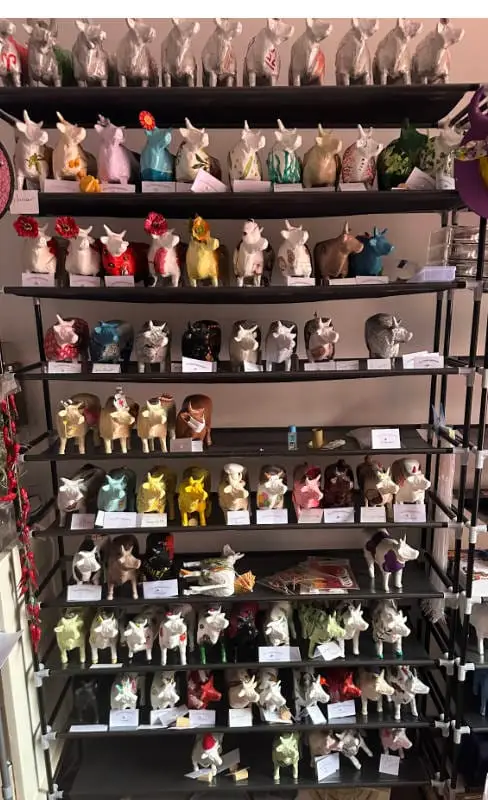 Mise en place Show Room sept 2025