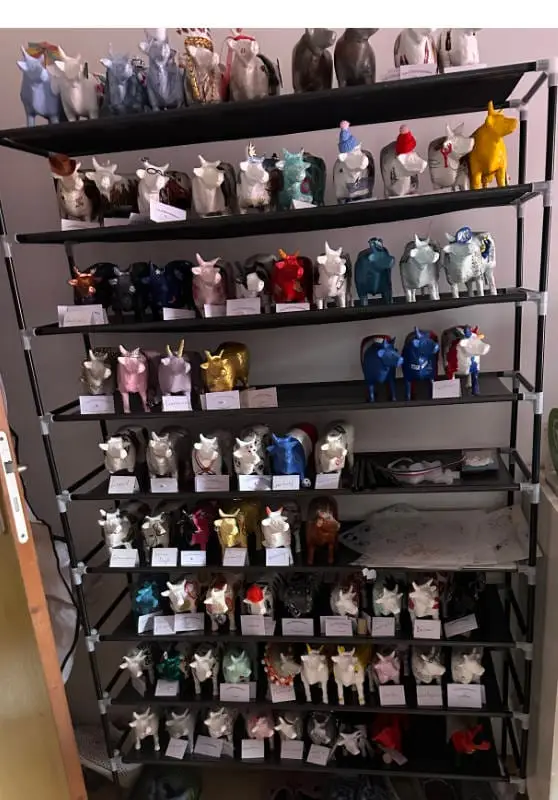 Mise en place Show Room sept 2025